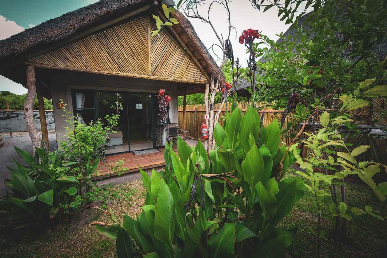 African Excursions Guest House Khwai Zewnętrze zdjęcie