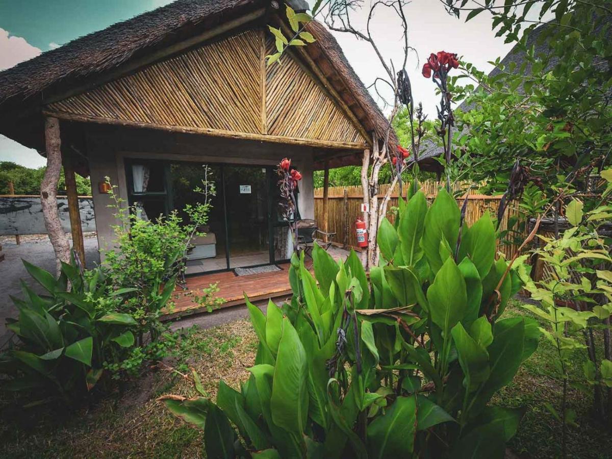 African Excursions Guest House Khwai Zewnętrze zdjęcie